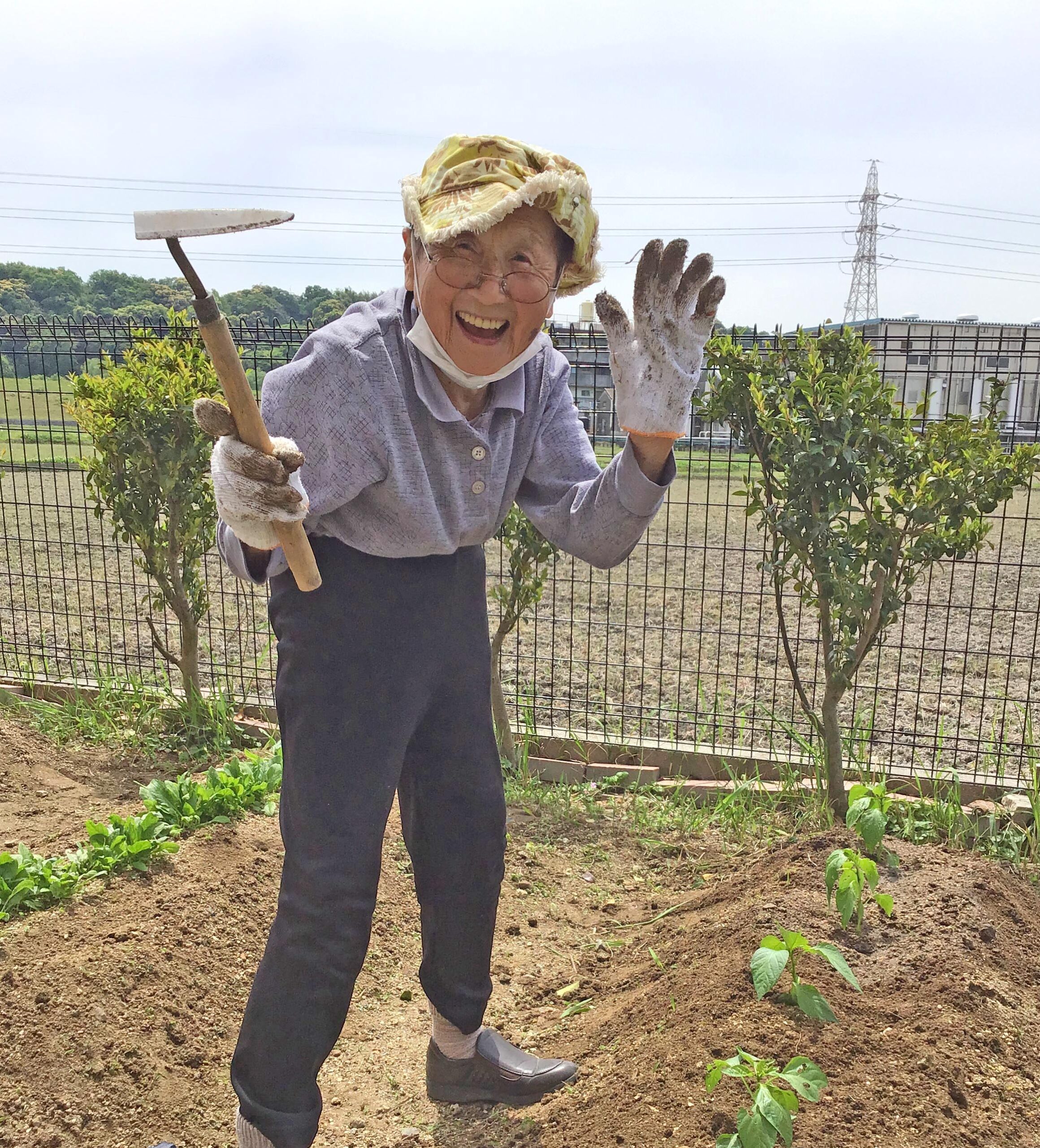 畑で野菜作り