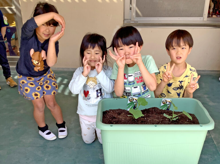 園庭が夏野菜でいっぱい